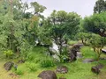 松山城二之丸史跡庭園の写真_376471
