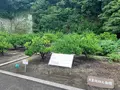 松山城二之丸史跡庭園の写真_376489