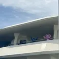 東京ディズニーリゾートの写真_376740