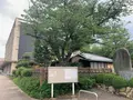 今治市河野美術館の写真_376783