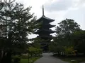 東寺（教王護国寺）の写真_376964
