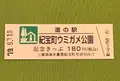 道の駅紀宝町ウミガメ公園の写真_377511