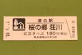 道の駅　桜の郷荘川の写真_377600