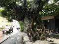 東海館の写真_377658