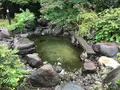 東海館の写真_377668