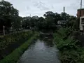 東海館の写真_377672
