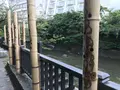 東海館の写真_377732