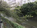 東海館の写真_377733