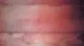 宝泉院の写真_377897