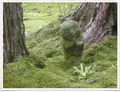 三千院の写真_377903