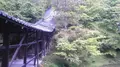 高台寺の写真_377919