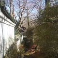 石山寺の写真_377929