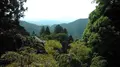 鞍馬寺の写真_377933