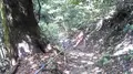 鞍馬寺の写真_377945