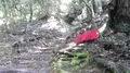 鞍馬寺の写真_377946