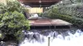 貴船神社の写真_377949