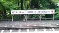 貴船神社の写真_377950