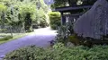 大悲山峰定寺の写真_377955