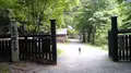 大悲山峰定寺の写真_377956