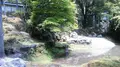常照皇寺の写真_377961