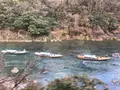 保津川下りの写真_377963
