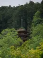 長谷寺の写真_377979