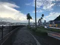 道の駅 伊東マリンタウンの写真_378213