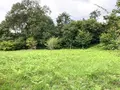 下町公園の写真_378394