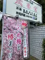 城南宮の写真_378713