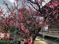 城南宮の写真_378714