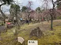 城南宮の写真_378718