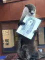 伊勢シーパラダイスの写真_378871