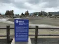 道の駅 くしもと橋杭岩の写真_378981