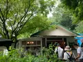 Paysan（ペイザン）の写真_378994