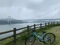 大島の写真_379046