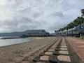 ドルフィンファームしまなみの写真_379048