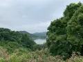 今治市伊東豊雄 建築ミュージアムの写真_379087