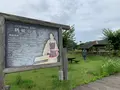 大三島藤公園の写真_379144