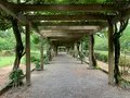 大三島藤公園の写真_379147