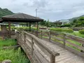 大三島藤公園の写真_379148