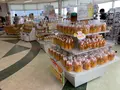 多々羅しまなみ公園の写真_379151