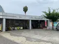 多々羅しまなみ公園の写真_379152