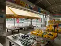 多々羅しまなみ公園の写真_379161