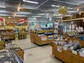 多々羅しまなみ公園の写真_379165