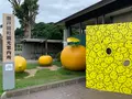 瀬戸田町観光案内所の写真_379532