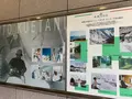 未来心の丘の写真_379552