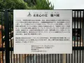 未来心の丘の写真_379561