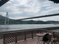 菜のはなの写真_379594