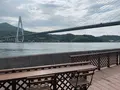 菜のはなの写真_379602