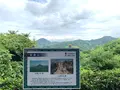 因島水軍城の写真_379648